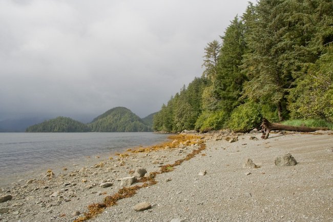 Beach on Trail to Mosquito Cove