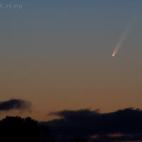 Comet McNaught at Sunset