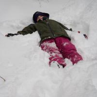 Rowan in the Snow