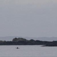 Kayaking Crescent Bay
