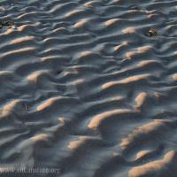 Wave-shaped Sand