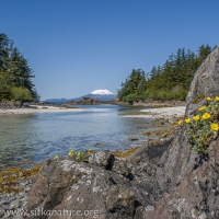 Mt. Edgecumbe from Pirate's Cove