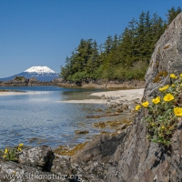 Mt. Edgecumbe from Pirate's Cove