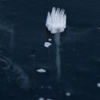 Swan Lake Ice Detail
