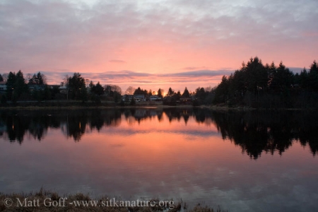Sunset over Swan  Lake