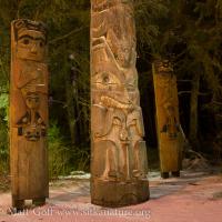 Night Shot of House Posts at Totem Park