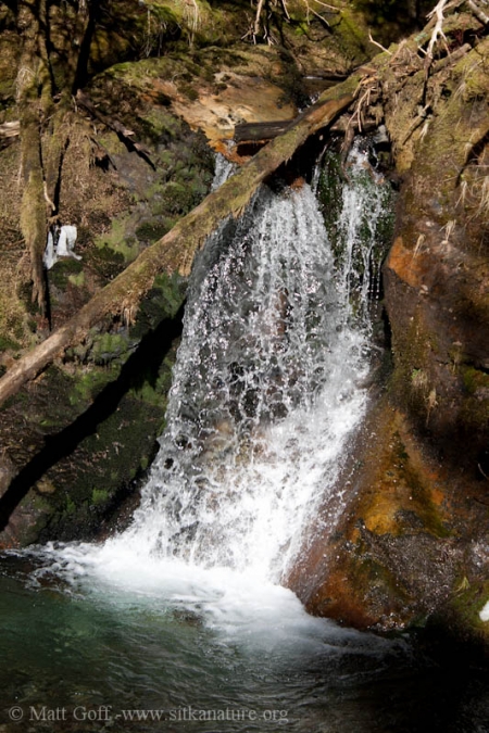 Herring Cove Trail Small Falls