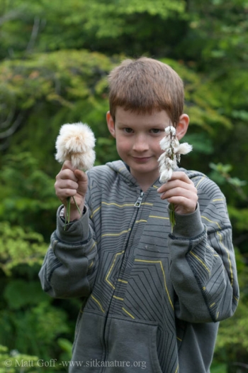 Connor with Cottongrass