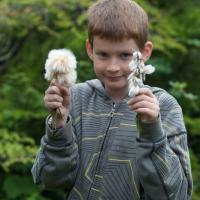 Connor with Cottongrass