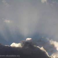 Clouds and Sun Rays