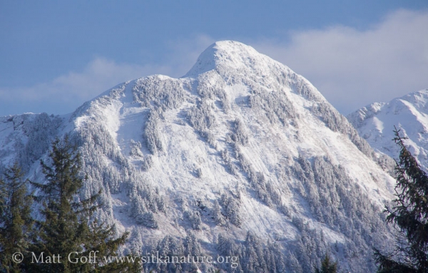 Fresh Snow on the Middle Sister