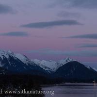 Pink and Purple over the Mountains