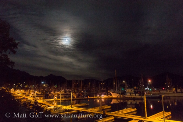 Full Moon over Crescent Harbor