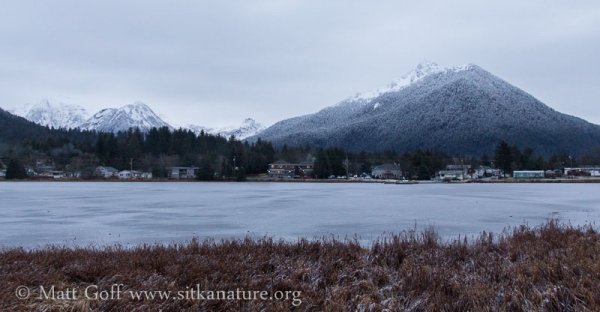 Swan Lake Winter View