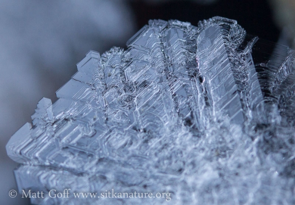 Large Frost Crystals