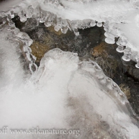 Stream Ice Formations