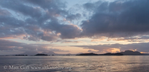 Sunset Pastels and Mt. Edgecume