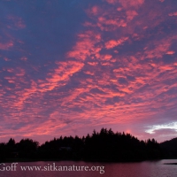 Sunset over Swan Lake