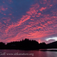 Swan Lake Sunset