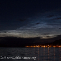 Noctilucent Clouds over the Channel