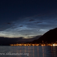 Noctilucent Clouds over the Channel