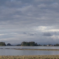 View from the Beach at Totem Park
