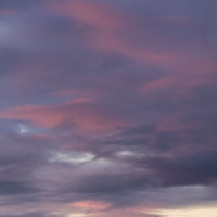 Pink and Purple Clouds