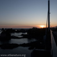O'Connell Bridge Sunset