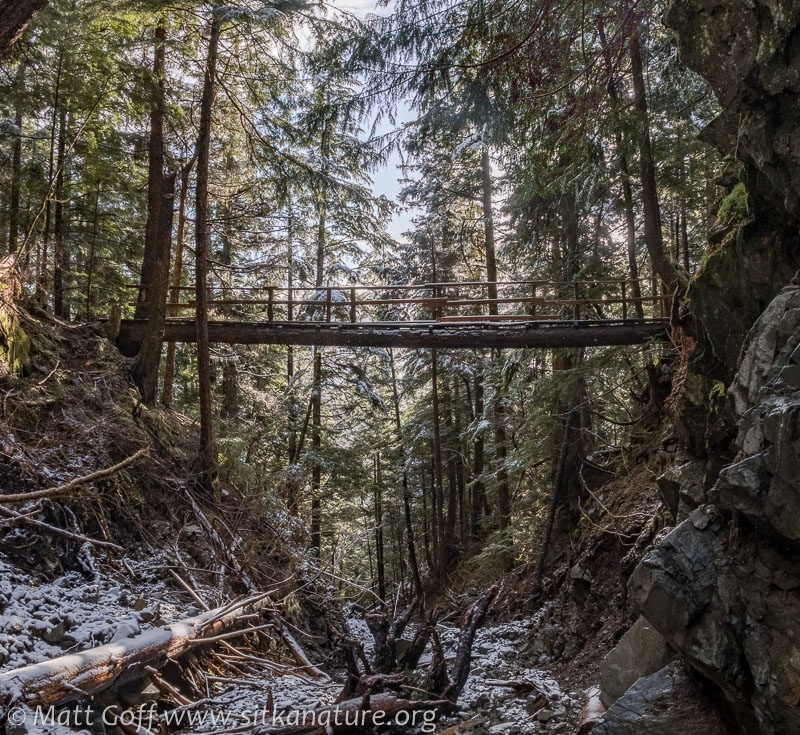 Upper Cross Trail Bridge