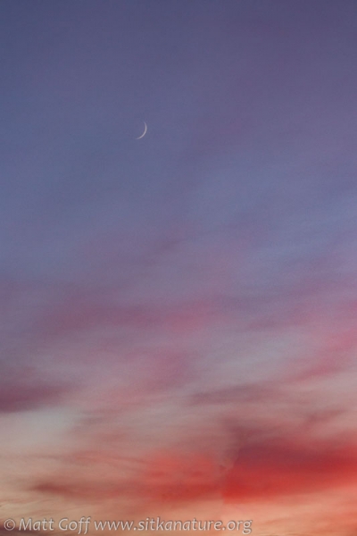 Crescent Moon at Sunset