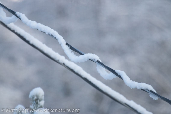 Snow Rope