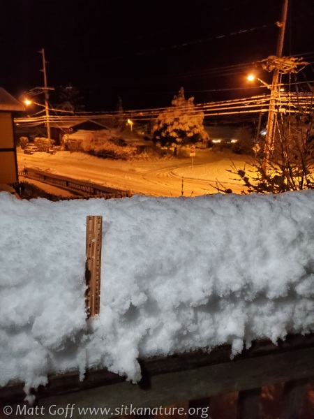 Deck railing snow depth