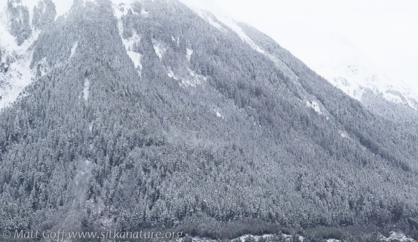 Bear Mountain Slopes