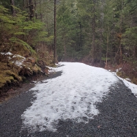 Trail with Snow