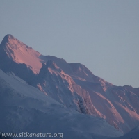 Morning alpenglow on Peak 4900