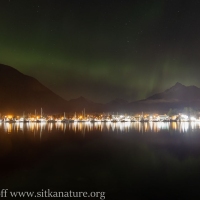 Northern lights over Eliason Harbor with mountain silhouettes
