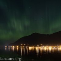 Northern lights showing at the north end of the channel