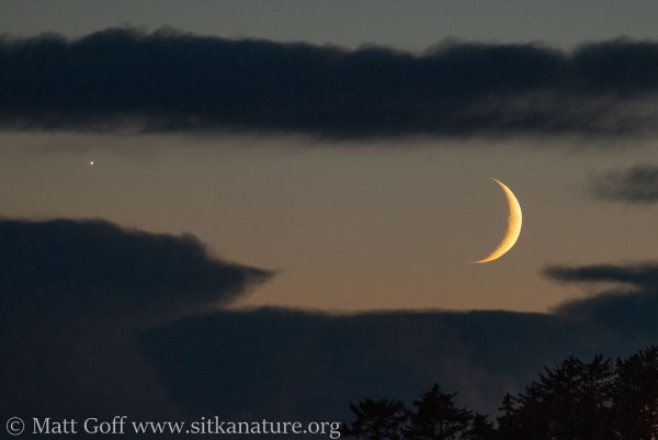 Venus and Crescent Moon Conjunction