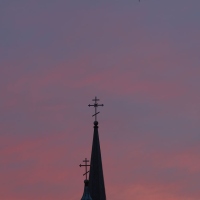 Trumpeter Swans Flying over St. Michael's Cathedral
