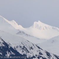 Snowy Peak 5390