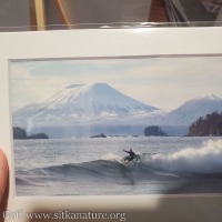 Surfing with Mount Edgecume