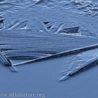 Ice Margin Detail