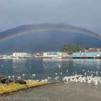 Rainbow over the Waterfront