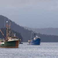Herring Boats at Anchor