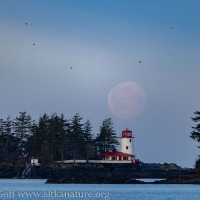 SItka Lighthouse and Moon