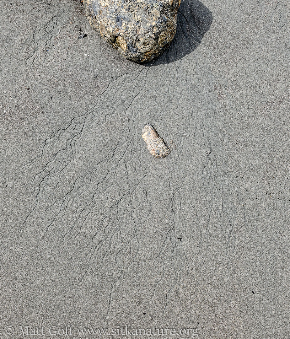 Beach Erosion Features
