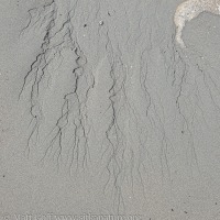 Beach Erosion Features