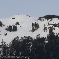 Picnic Rock Snow Trails