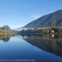 Calm Clear Morning at Swan Lake