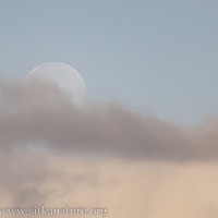 Disappearing Moon